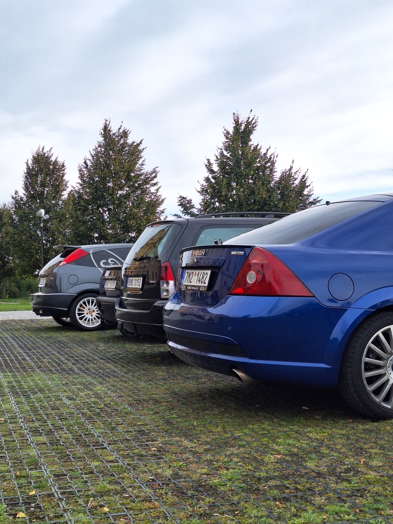 dub nad moravou zadky.jpg