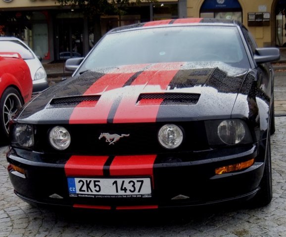 Mustang